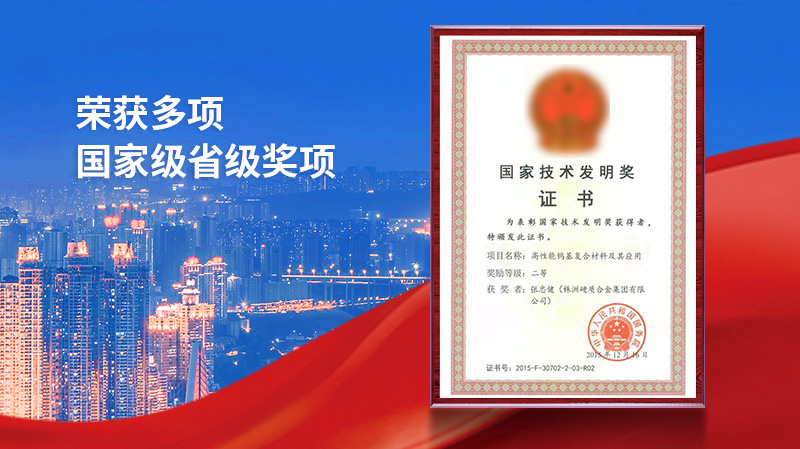 獲獎(jiǎng)項(xiàng)目